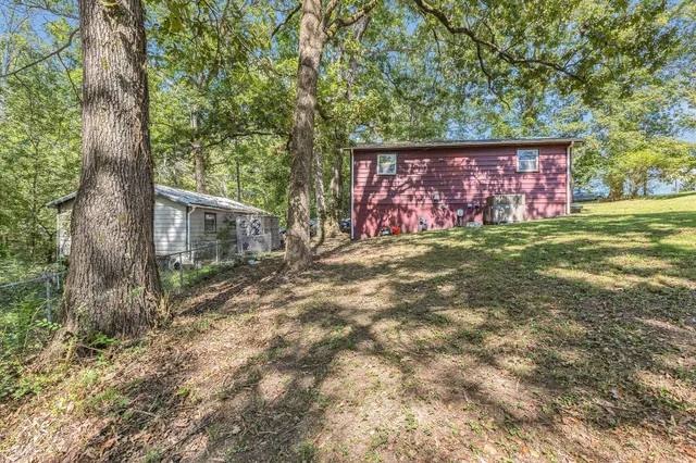 a view of a yard with a tree