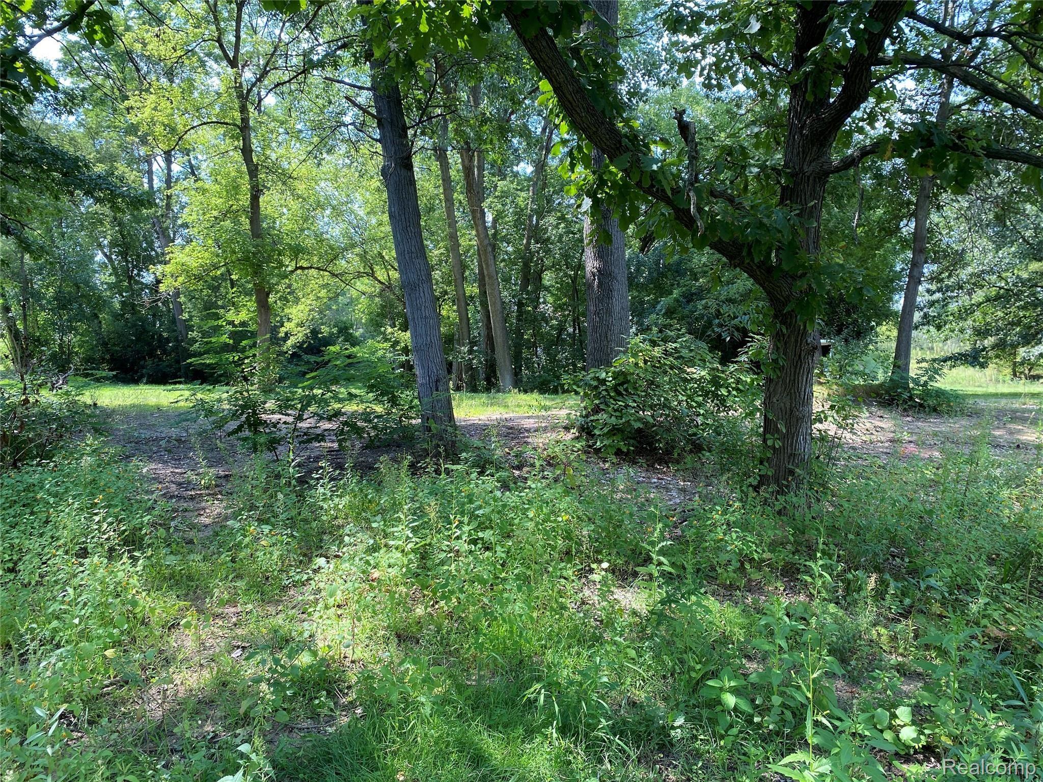 4520 Rattek Road Clarkston, MI 48346 - Photo 17 of 33 Land.JPG