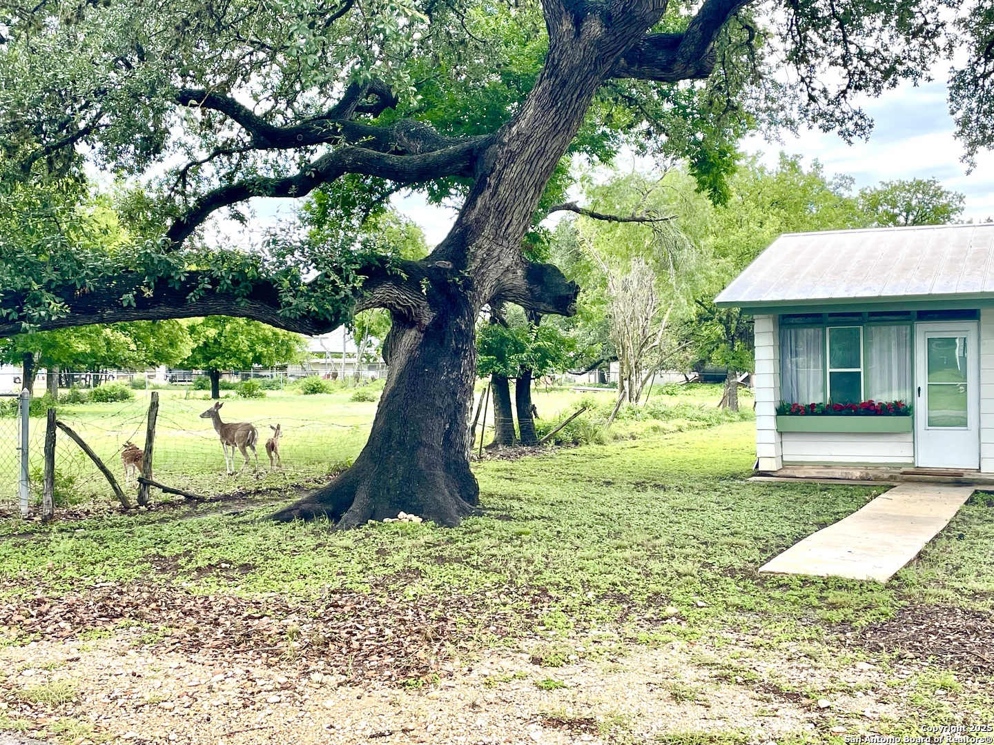 406 Hackberry Street Bandera, TX 78003 - Photo 27 of 34 a view of a backyard with a garden and plants