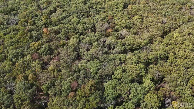 $549,000 | 0 Kerick Lane, Bourbon, MO 65441