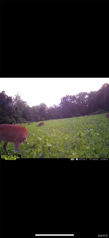 $549,000 | 0 Kerick Lane, Bourbon, MO 65441