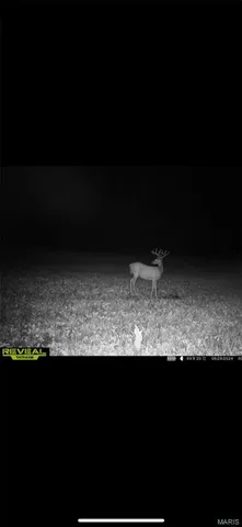 $549,000 | 0 Kerick Lane, Bourbon, MO 65441