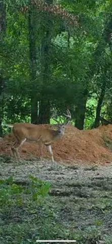 $549,000 | 0 Kerick Lane, Bourbon, MO 65441