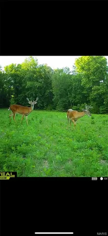 $549,000 | 0 Kerick Lane, Bourbon, MO 65441