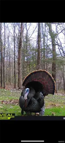 $549,000 | 0 Kerick Lane, Bourbon, MO 65441