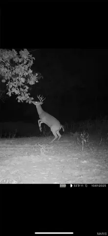 $549,000 | 0 Kerick Lane, Bourbon, MO 65441