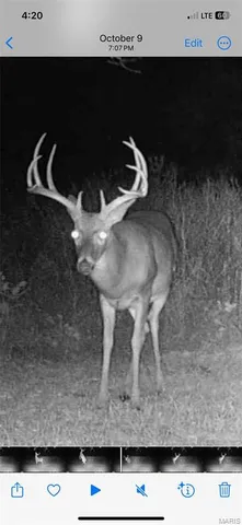 $549,000 | 0 Kerick Lane, Bourbon, MO 65441