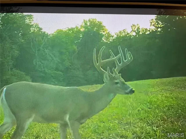 $549,000 | 0 Kerick Lane, Bourbon, MO 65441