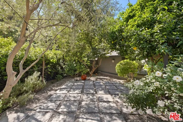 a view of a yard with plants and a tree