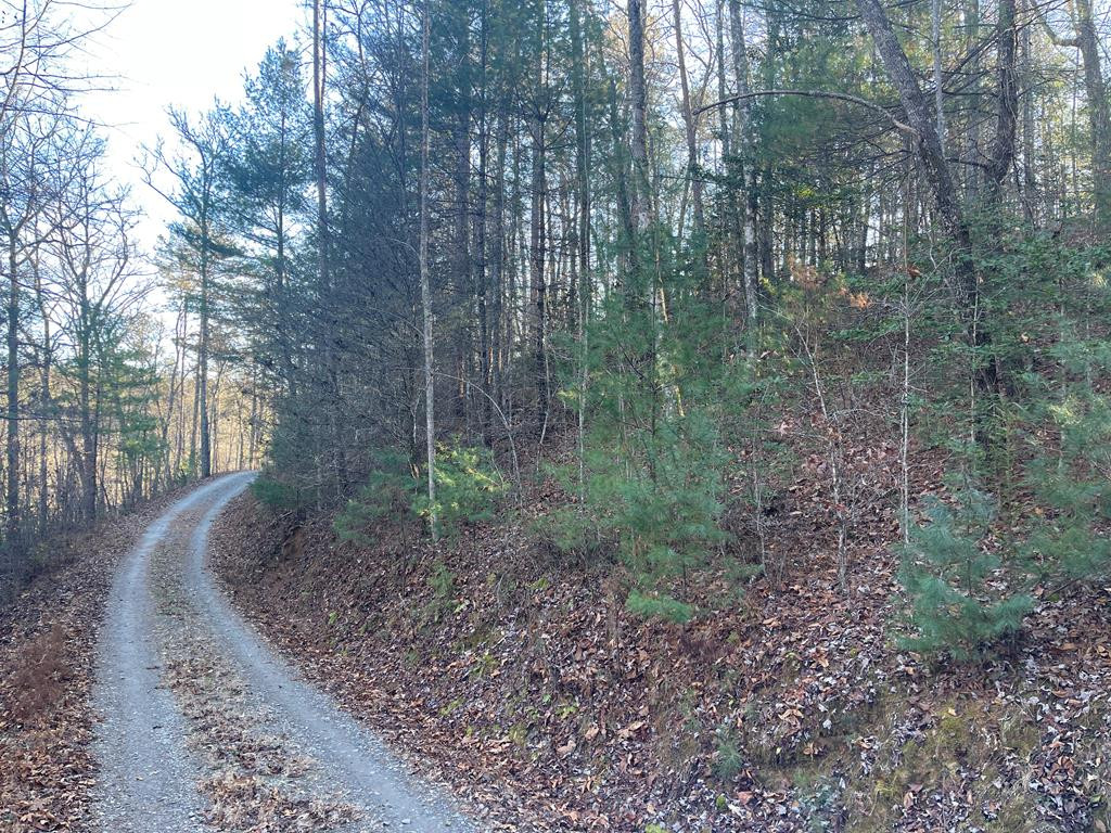 0 Laurel Branch Road Murphy, NC 28906 - Photo 1 of 8 Main View