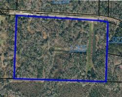 0 Co Road Rockford, AL 35136 - Photo 11 of 11