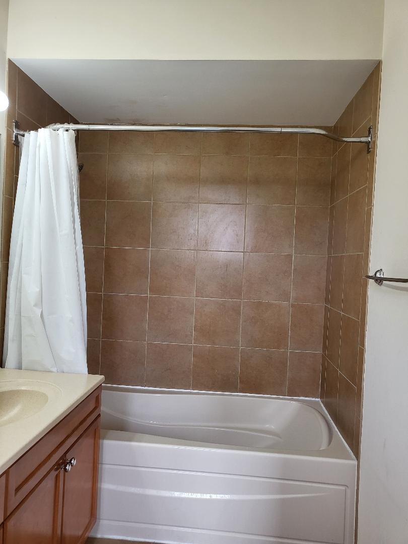758 West 15th Street, Unit 3B Chicago, IL 60607 - Photo 16 of 30 a bathroom with a shower and a bathtub
