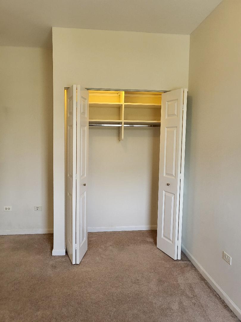 758 West 15th Street, Unit 3B Chicago, IL 60607 - Photo 20 of 30