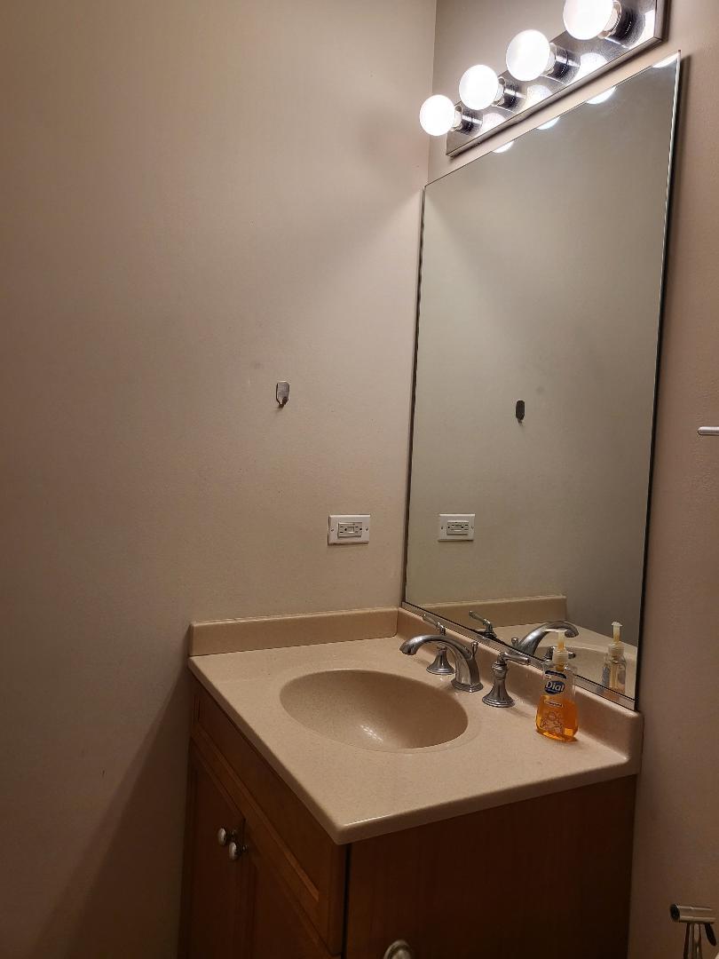 758 West 15th Street, Unit 3B Chicago, IL 60607 - Photo 22 of 30 a bathroom with a sink and a mirror