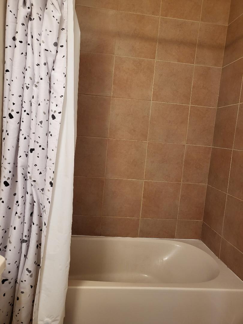 758 West 15th Street, Unit 3B Chicago, IL 60607 - Photo 23 of 30