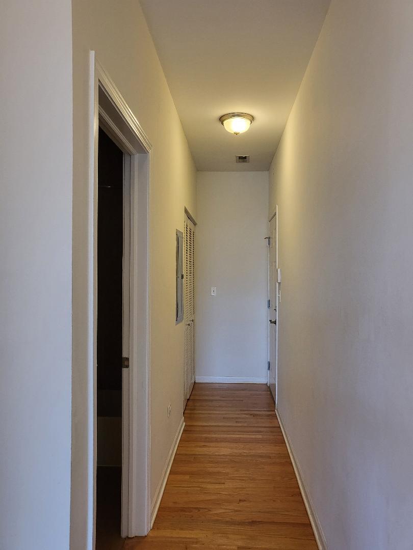 758 West 15th Street, Unit 3B Chicago, IL 60607 - Photo 28 of 30 a view of a hallway with wooden floor