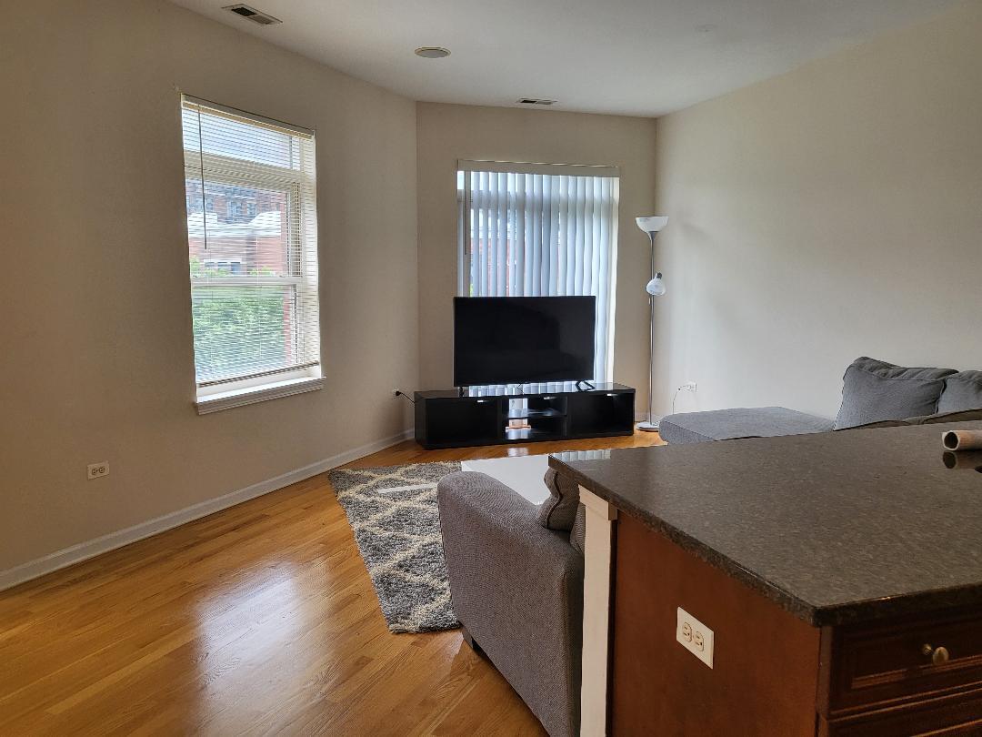 758 West 15th Street, Unit 3B Chicago, IL 60607 - Photo 9 of 30 a living room with furniture and a flat screen tv
