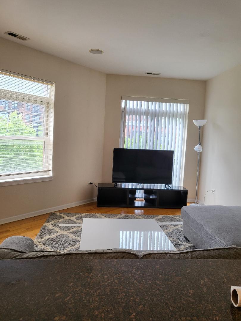 758 West 15th Street, Unit 3B Chicago, IL 60607 - Photo 10 of 30 a living room with furniture pool and a fireplace