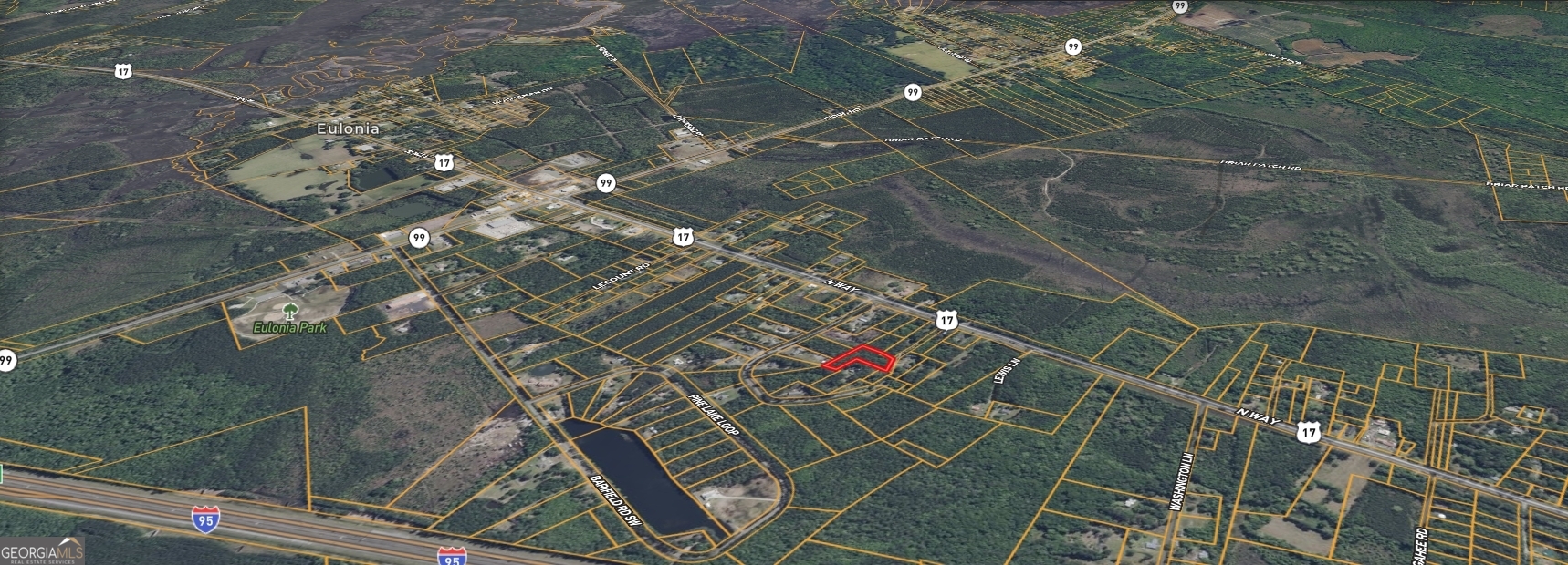 0 Lewis Lane, Unit 1 Townsend, GA 31331 - Photo 6 of 8 a view of a yard