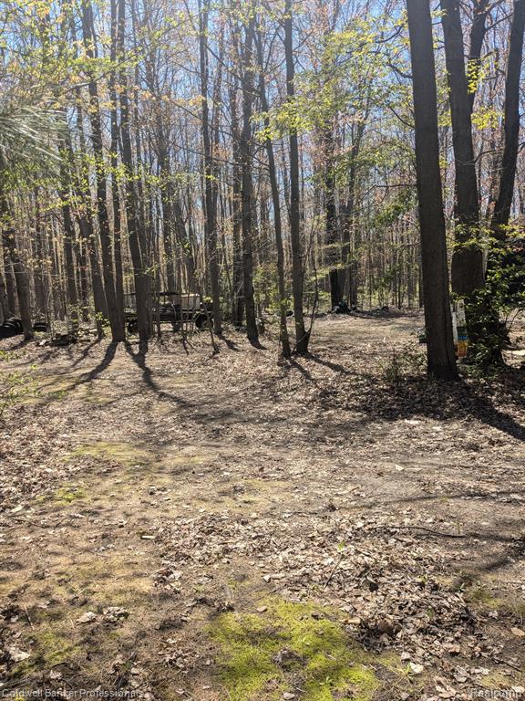 1941 North Thomas Road Bad Axe, MI 48413 - Photo 15 of 65