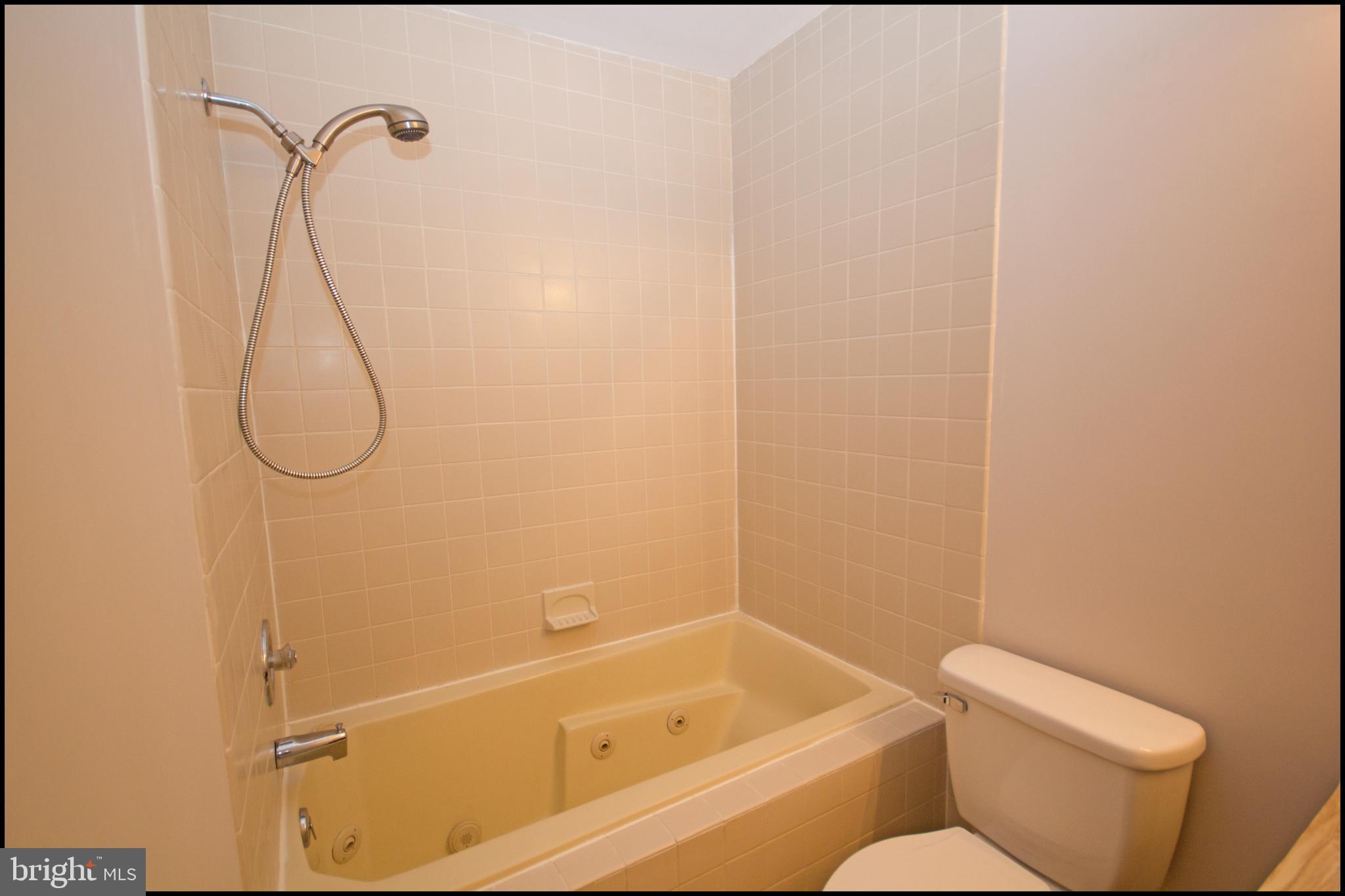 22 Knox Court Chesterbrook, PA 19087 - Photo 25 of 33 Spacious Hall Bath with Jetted Tub