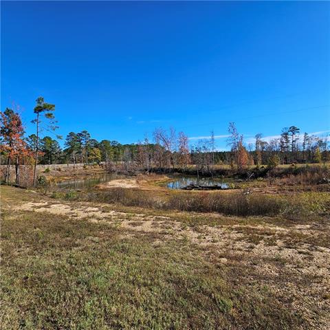 1555 Nelms Loop Colfax, LA 71417 - Photo 20 of 21