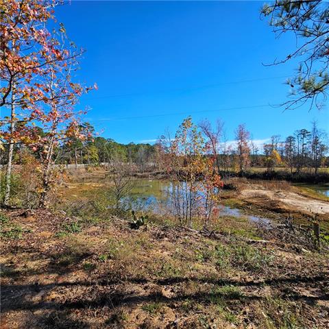 1555 Nelms Loop Colfax, LA 71417 - Photo 4 of 21