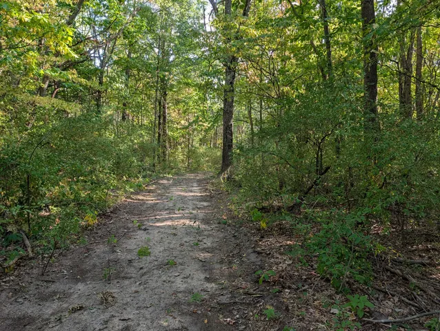 $84,900 | 6698 Skeels Road, Holton, MI 49425