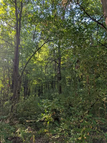 $84,900 | 6698 Skeels Road, Holton, MI 49425