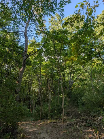 $84,900 | 6698 Skeels Road, Holton, MI 49425