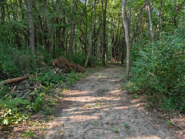 $84,900 | 6698 Skeels Road, Holton, MI 49425