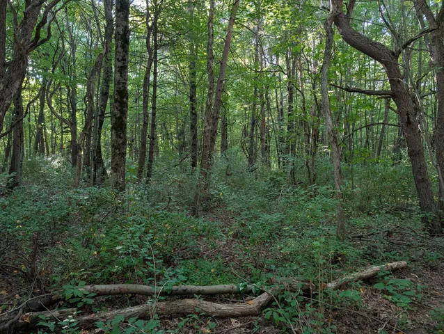 $84,900 | 6698 Skeels Road, Holton, MI 49425