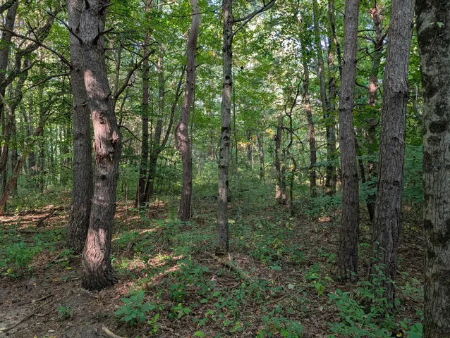 $84,900 | 6698 Skeels Road, Holton, MI 49425