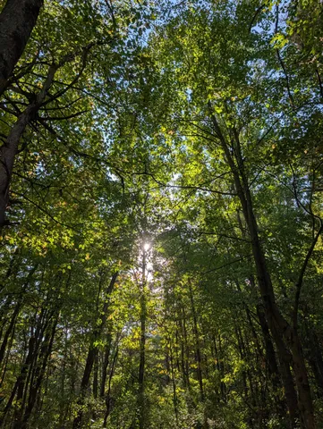 $84,900 | 6698 Skeels Road, Holton, MI 49425