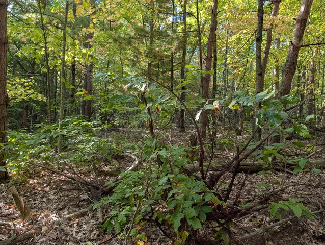 $84,900 | 6698 Skeels Road, Holton, MI 49425