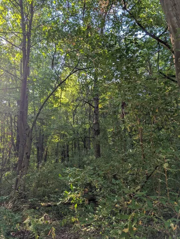 $84,900 | 6698 Skeels Road, Holton, MI 49425