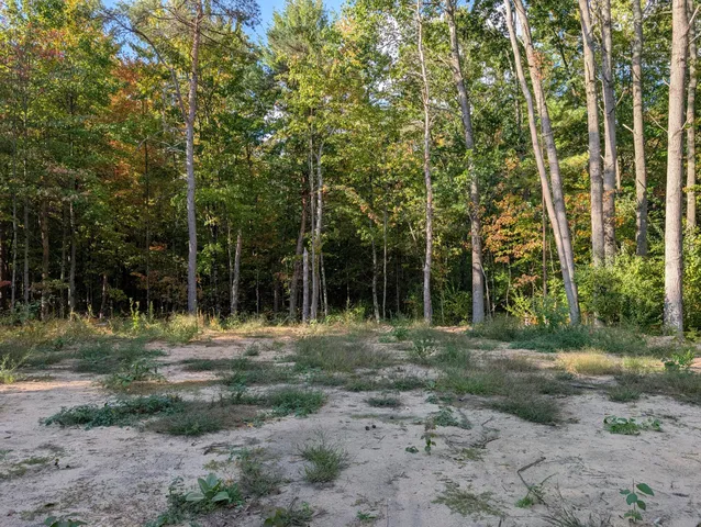 $84,900 | 6698 Skeels Road, Holton, MI 49425