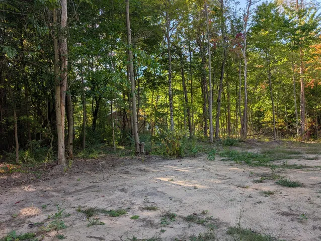 $84,900 | 6698 Skeels Road, Holton, MI 49425