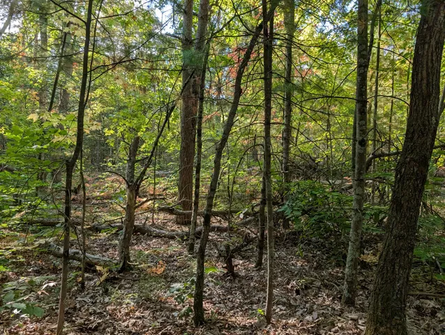 $84,900 | 6698 Skeels Road, Holton, MI 49425