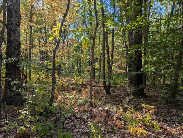 $84,900 | 6698 Skeels Road, Holton, MI 49425