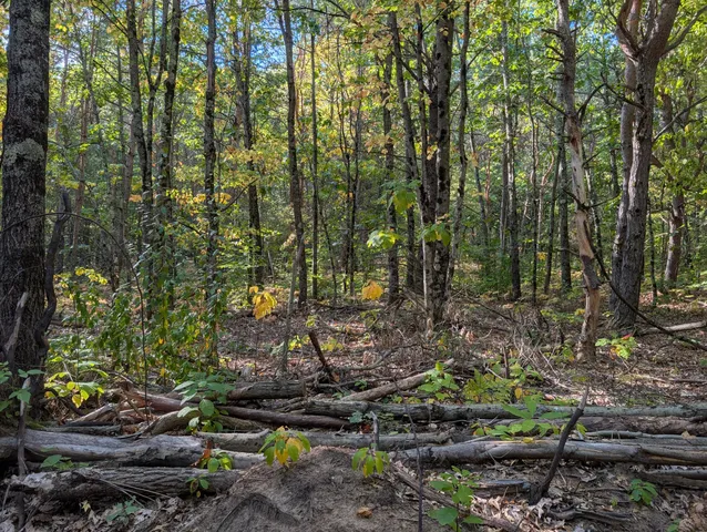 $84,900 | 6698 Skeels Road, Holton, MI 49425