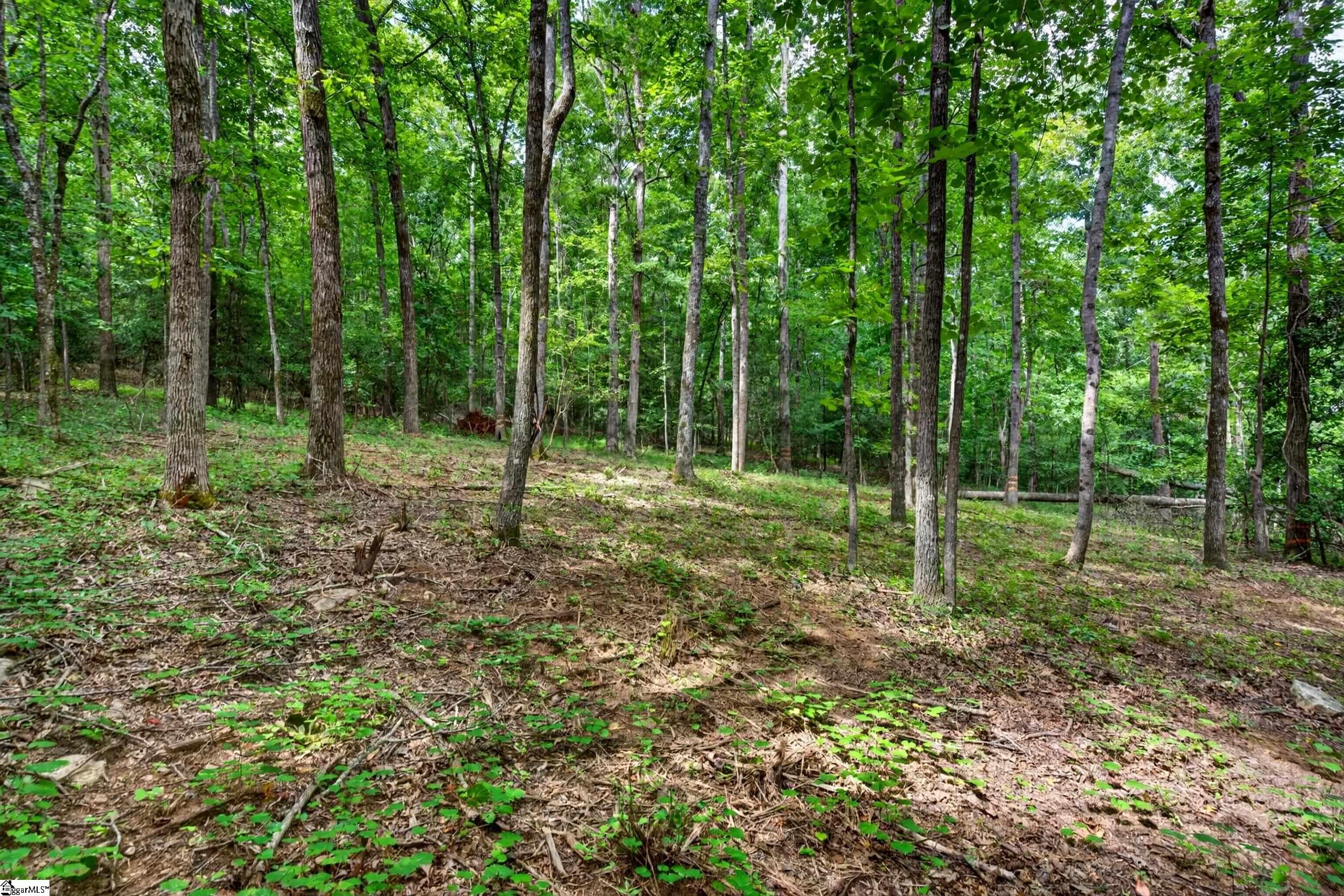 0 Mcfalls Circle Anderson, SC 29621 - Photo 11 of 30 Gallery Image 11