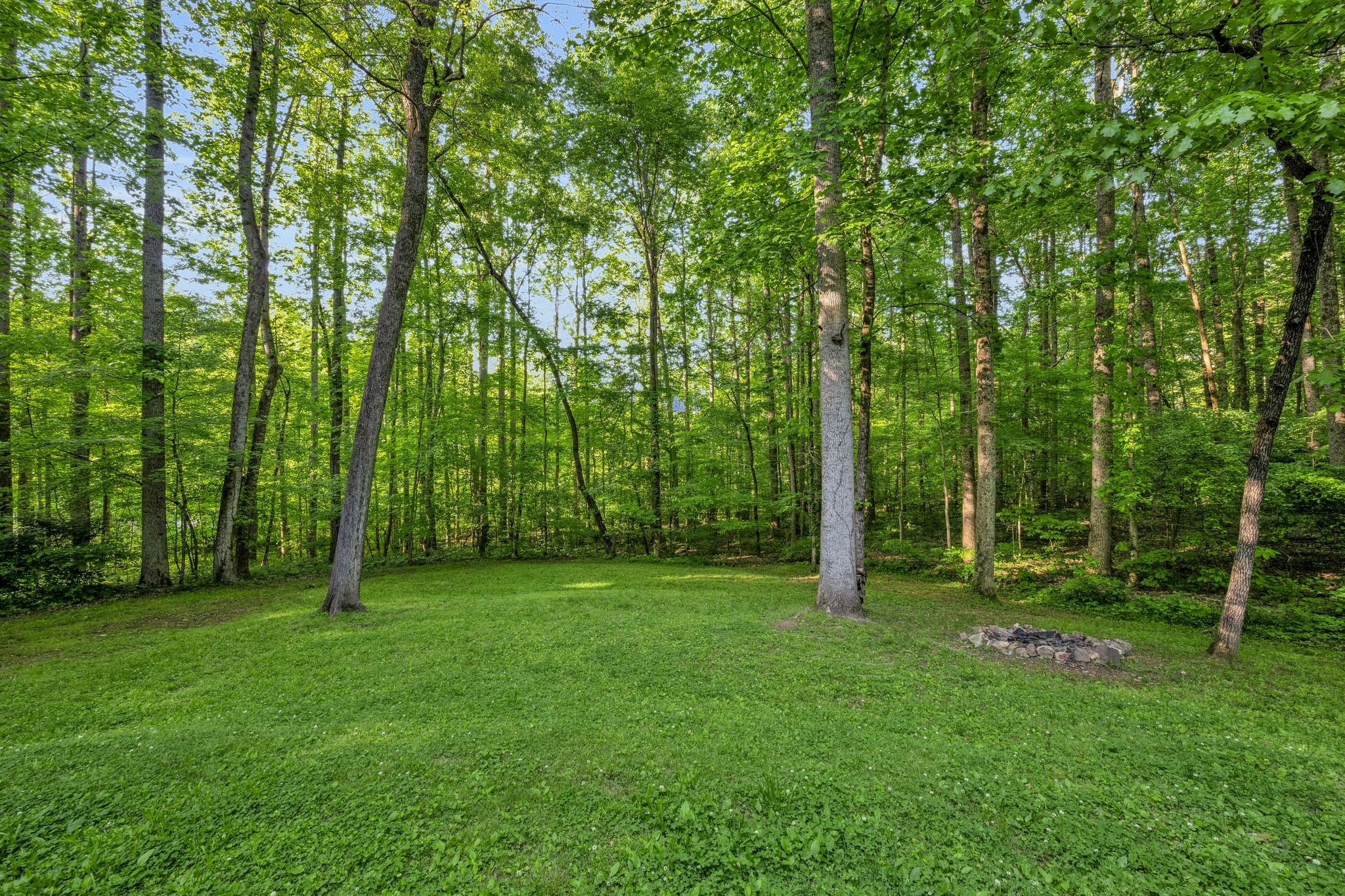 311 Lee Road Dickson, TN 37055 - Photo 2 of 42 Gallery Image 2