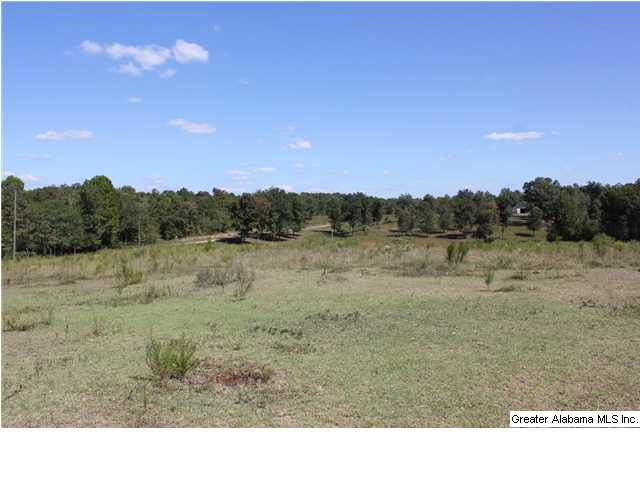 13084 Jackson Trace Road, Unit 94 83 AC Lincoln, AL 35096 - Photo 31 of 32