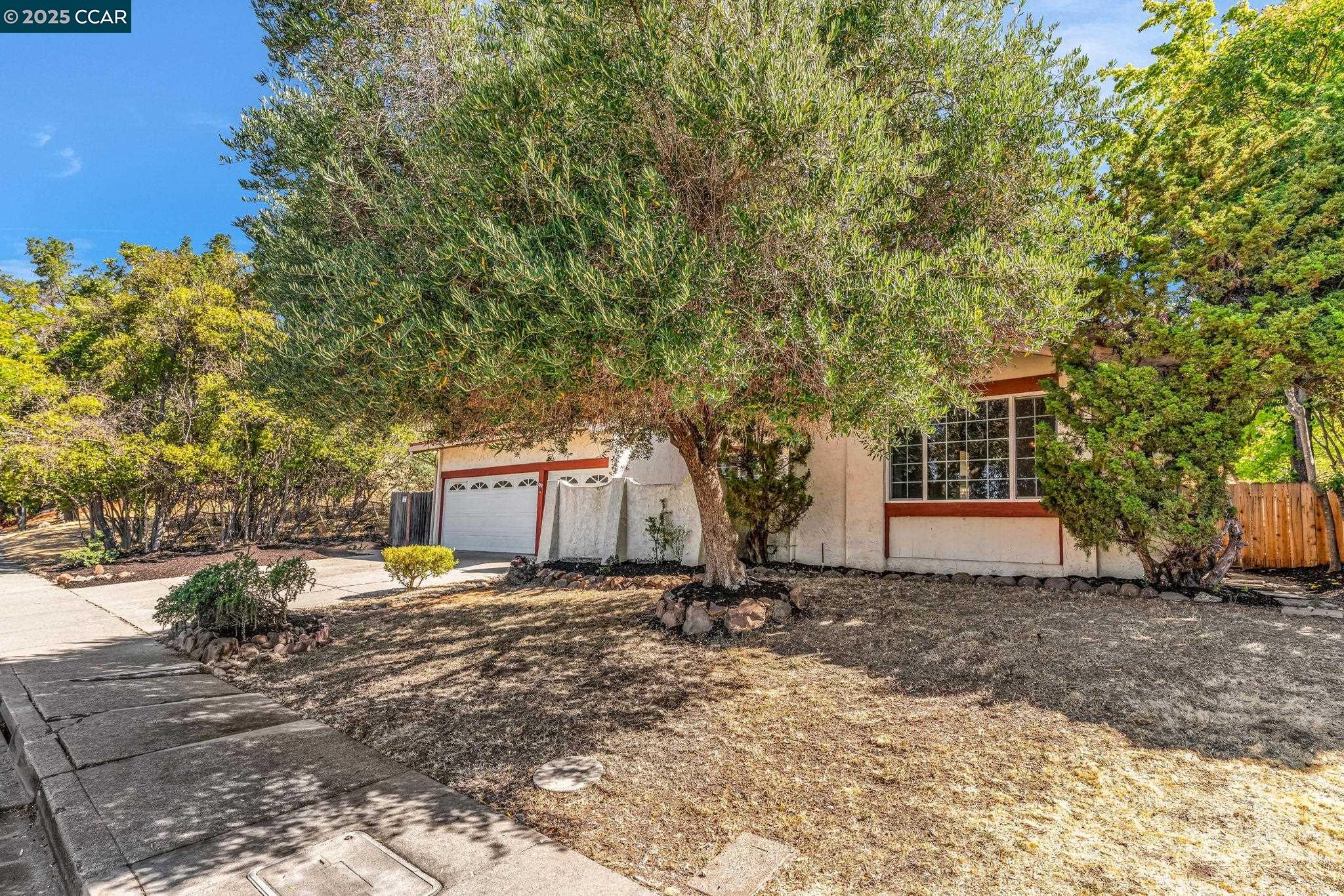 920 Palmer Road Walnut Creek, CA 94596 - Photo 16 of 47 a front view of a house with a yard