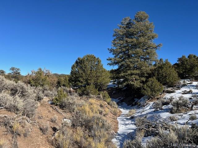 Lot 7860 Platten Road Fort Garland, CO 81133 - Photo 13 of 27 a view of a tree with a yard