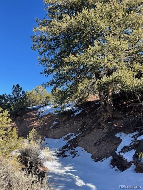 Lot 7860 Platten Road Fort Garland, CO 81133 - Photo 14 of 27 a view of a tree in a yard