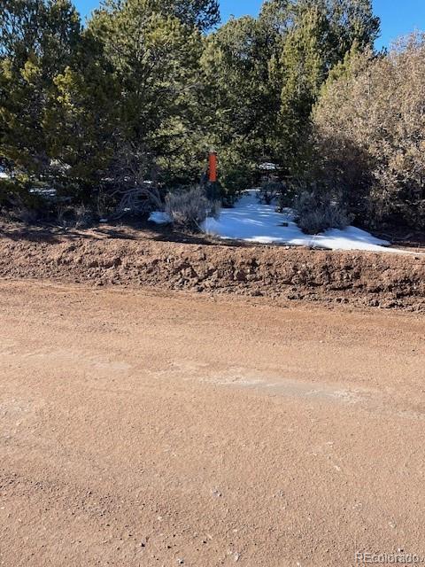 Lot 7860 Platten Road Fort Garland, CO 81133 - Photo 2 of 27 a view of a yard with a tree
