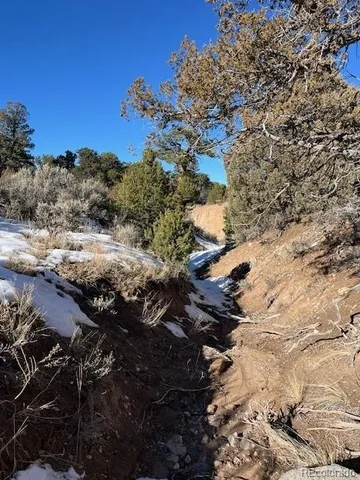 a view of a city with lush green forest