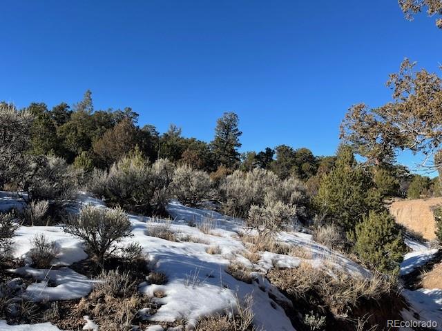Lot 7860 Platten Road Fort Garland, CO 81133 - Photo 23 of 27 a view of a city with lush green forest